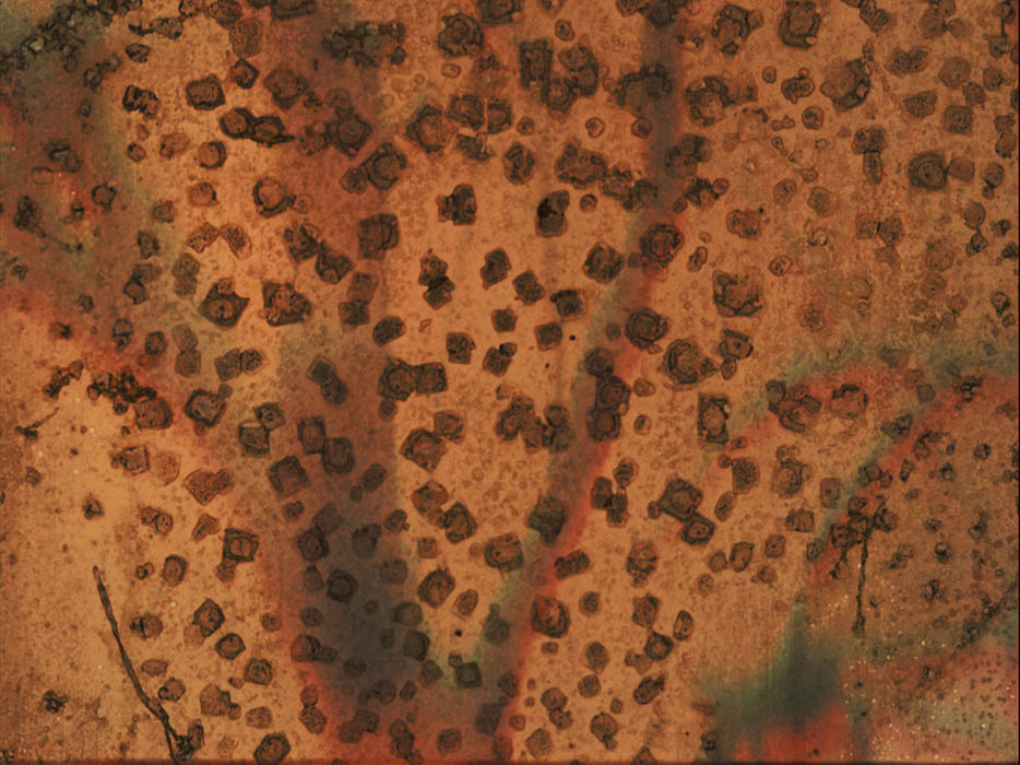 Sun Song_Joseph Bernard_1979_Courtesy of the artist