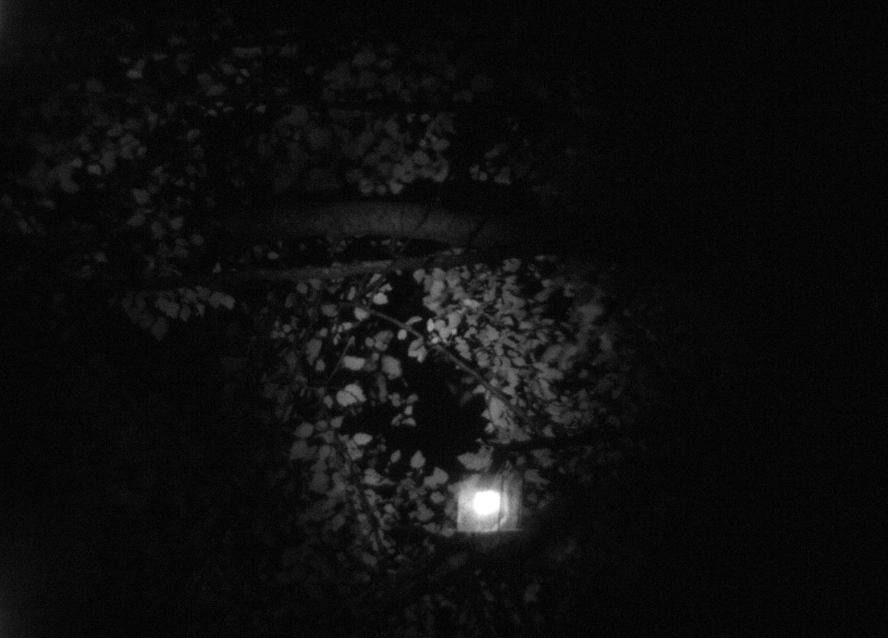 Reflejo Nocturno (I) 01