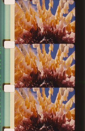 LuzClaraoFulgor_Cor_0012