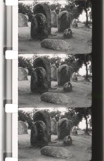 LuzClaraoFulgor_PB_0023