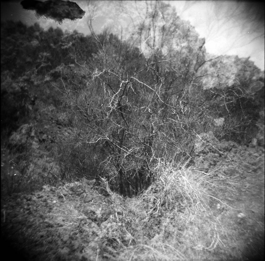 Holga_001